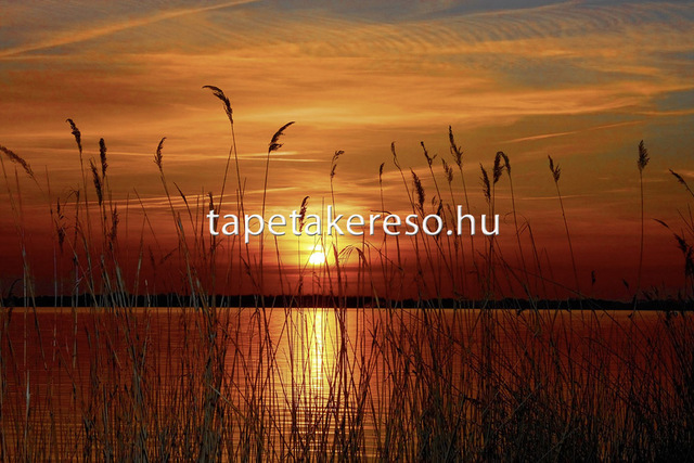 Thumb xxl wallpaper 2