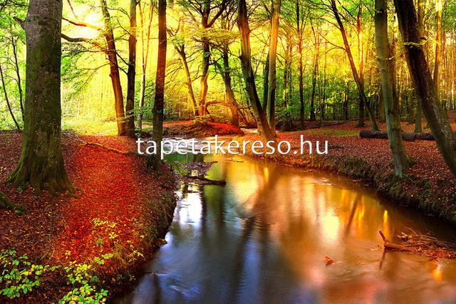 Thumb xxl wallpaper 2