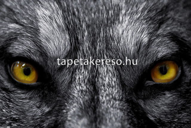 Thumb xxl wallpaper 2