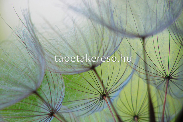 Thumb xxl wallpaper 2