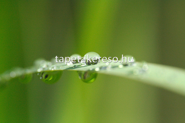 Thumb xxl wallpaper 2