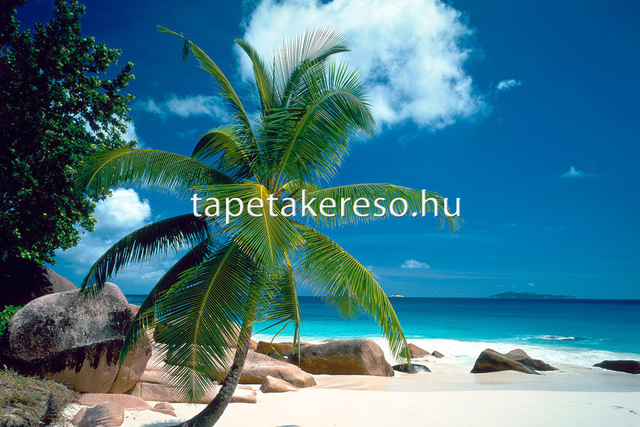 Thumb xxl wallpaper 2