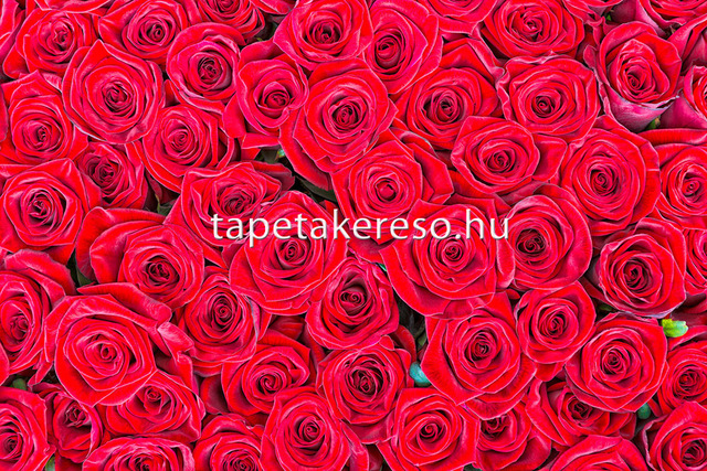 Thumb xxl wallpaper 2