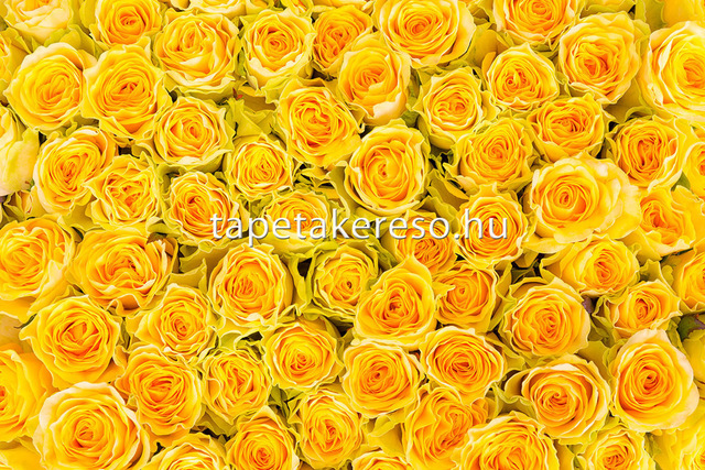 Thumb xxl wallpaper 2