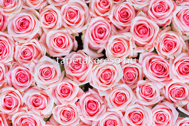 Thumb xxl wallpaper 2