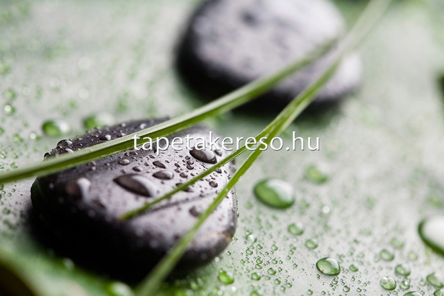 Thumb xxl wallpaper 2