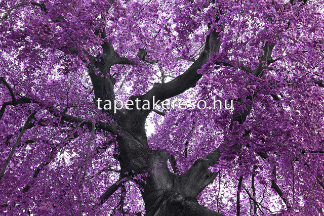 Thumb xxl wallpaper 2