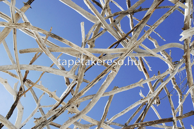 Thumb xxl wallpaper 2